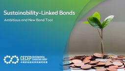 【Sustainability-Linked Bonds】Ambitious and New Bond Tool
