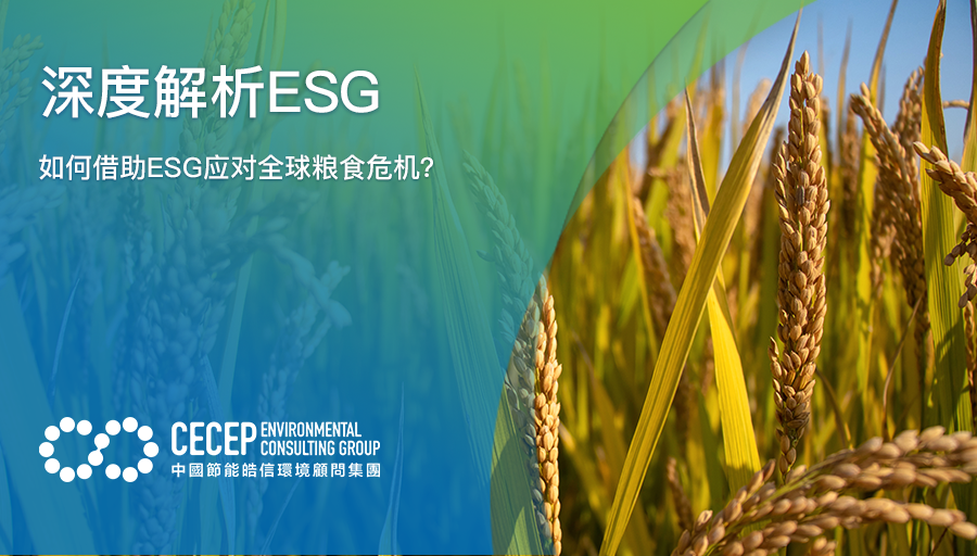 【深度解析ESG】如何借助ESG应对全球粮食危机？